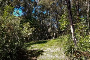 02f63684-3f0e-43c4-9393-beda14bcae94