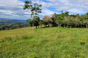 1687052f-887d-42c1-8d75-453f6969c021