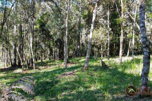 317d09b9-0804-4278-a9b5-1f94a0929c59