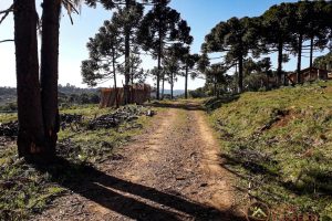 364685d9-f20b-4da4-a886-3eea2446cfb7