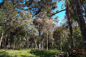 3dc4ebaf-59e6-448e-aea5-302dcc4ba621