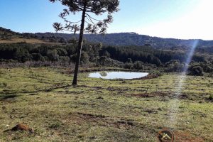 41539b1f-08cb-4ca6-8006-51239cf99ec9