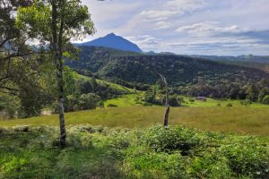 462f6186-2330-4aad-894e-200c7e4b3229