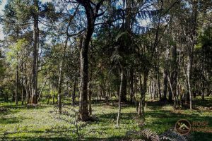 46670c28-8fb9-4fd4-bacc-17dd7a97688b