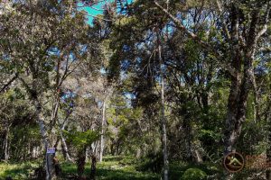 54bb9e8a-89de-4a1c-ba11-1bacda87141e