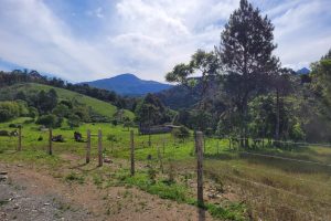 64e89e08-2b40-4e39-a331-cbecb3cfe8d4