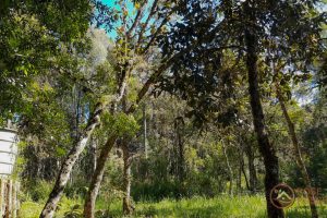 693004a3-19ee-4a76-b3e7-a58a5dd080ee