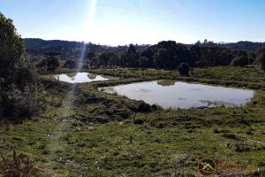 70938bff-a3bc-4889-a4b2-d53427445384