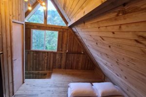 84F150E7-CBCB-4A55-B452-6665781A3E8A