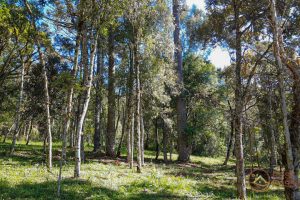 9ba92c50-7f86-42a9-a857-bc823cdce696