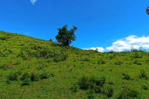 WhatsApp Image 2024-04-17 at 14.44.08