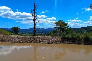 WhatsApp Image 2024-04-17 at 14.44.09 (2)