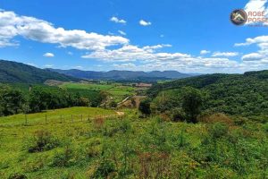 WhatsApp Image 2024-04-17 at 14.44.09 (3)