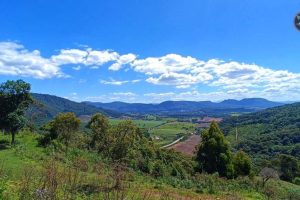 WhatsApp Image 2024-04-17 at 14.44.09