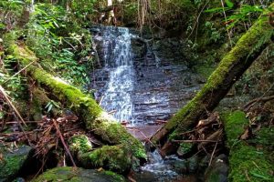 WhatsApp Image 2024-04-17 at 14.44.10 (1)