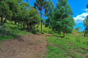 WhatsApp Image 2024-04-17 at 14.44.10 (2)