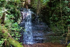 WhatsApp Image 2024-04-17 at 14.44.10