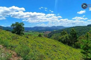 WhatsApp Image 2024-04-17 at 14.44.11