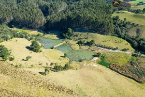 WhatsApp Image 2024-07-23 at 09.21.39 (2)