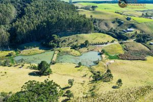 WhatsApp Image 2024-07-23 at 09.21.39 (3)