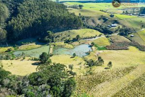 WhatsApp Image 2024-07-23 at 09.21.39 (4)