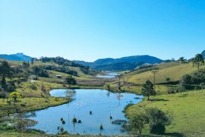 WhatsApp Image 2024-07-23 at 09.27.05