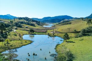 WhatsApp Image 2024-07-23 at 09.27.06