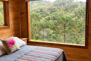 WhatsApp Image 2024-12-05 at 10.12.11