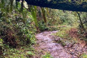 WhatsApp Image 2024-12-05 at 10.12.12 (3)