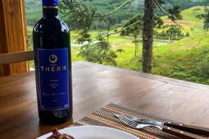 WhatsApp Image 2024-12-05 at 10.12.14 (1)