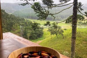 WhatsApp Image 2024-12-05 at 10.12.14 (2)