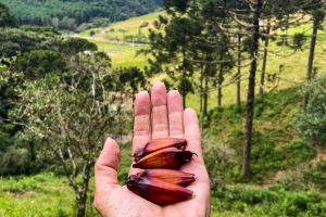 WhatsApp Image 2024-12-05 at 10.12.14