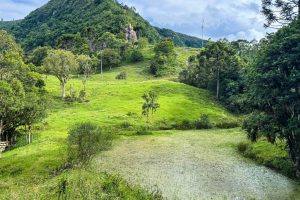 WhatsApp Image 2025-01-31 at 10.37.59