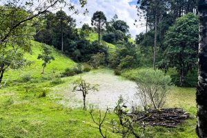 WhatsApp Image 2025-01-31 at 10.38.00