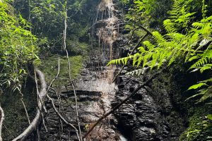 WhatsApp Image 2025-01-31 at 10.38.01