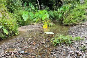 WhatsApp Image 2025-01-31 at 10.38.02 (1)