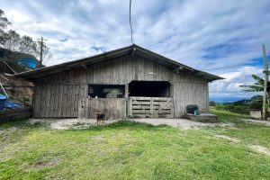 WhatsApp Image 2025-01-31 at 10.38.03