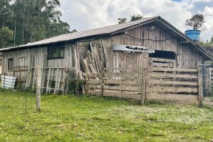 WhatsApp Image 2025-01-31 at 10.38.04 (2)