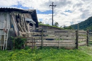 WhatsApp Image 2025-01-31 at 10.38.04