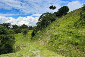 WhatsApp Image 2025-01-31 at 10.38.05 (2)