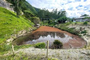 WhatsApp Image 2025-01-31 at 10.38.05