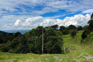 WhatsApp Image 2025-01-31 at 10.38.06