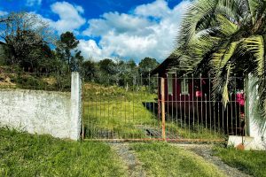 WhatsApp Image 2025-05-29 at 17.15.56