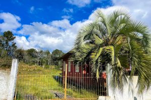 WhatsApp Image 2025-05-29 at 17.17.35