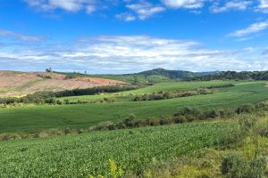 WhatsApp Image 2026-03-06 at 15.11.48 (1)