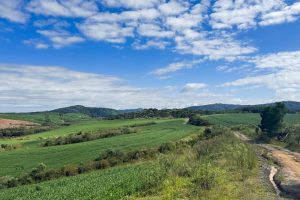 WhatsApp Image 2026-03-06 at 15.11.48 (3)