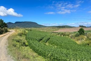 WhatsApp Image 2026-03-06 at 15.11.48 (5)