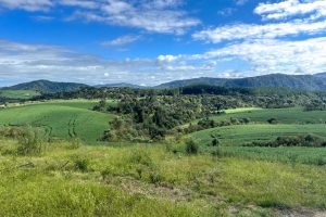 WhatsApp Image 2026-03-06 at 15.11.48