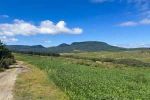 WhatsApp Image 2026-03-06 at 15.11.49 (1)