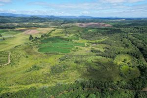 WhatsApp Image 2026-03-06 at 15.11.49 (3)